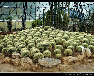Image 29: http://farm1.static.flickr.com/163/369838617_79cfc3ae4c.jpg?v=0
